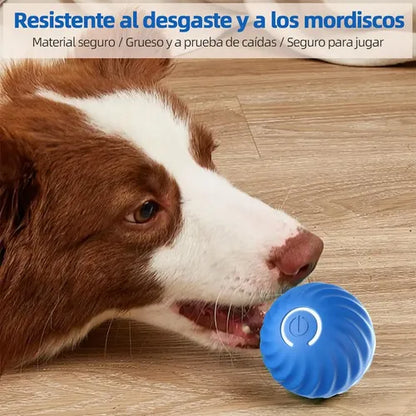 F - Juguete saltarin para perros
