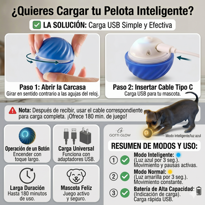 F - Juguete saltarin para perros